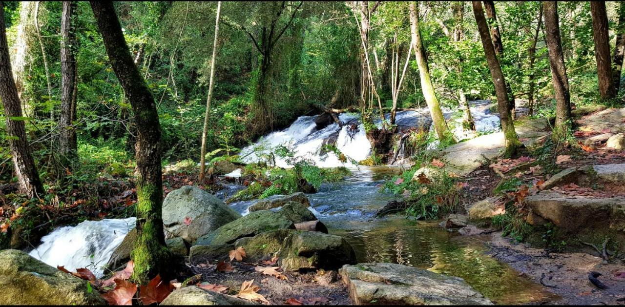 Camping Parc Gualba Гуальба-де-Дальт Экстерьер фото