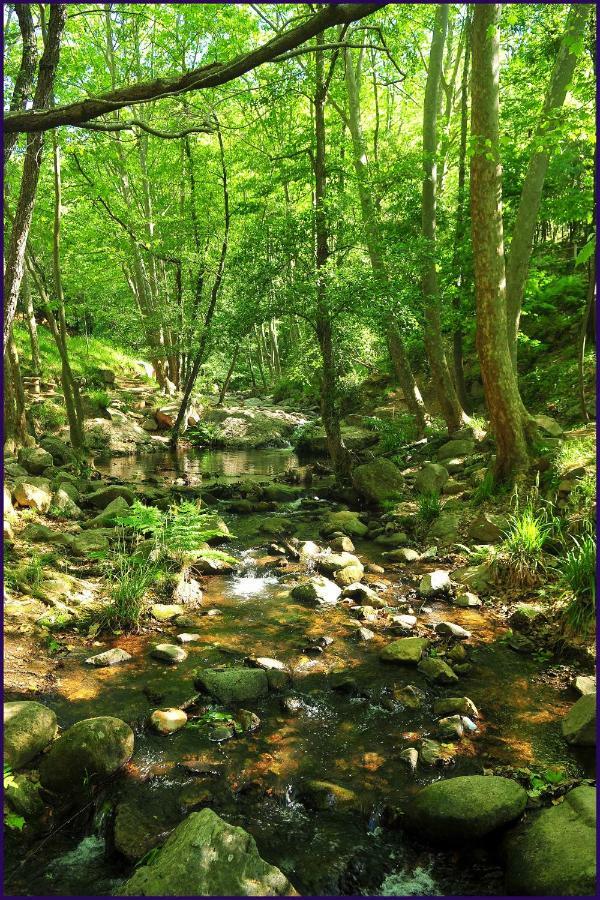 Camping Parc Gualba Гуальба-де-Дальт Экстерьер фото
